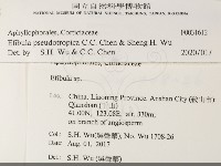 雲南無扣菌藏品圖，第2張
