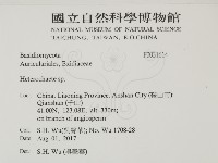 刺皮菌屬藏品圖，第2張