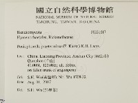 登錄號:F0031617藏品圖，第2張