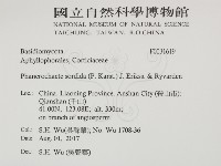 登錄號:F0031619藏品圖，第2張