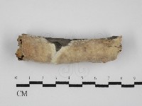 登錄號:F0031622藏品圖，第1張