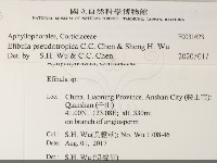 雲南無扣菌藏品圖，第2張