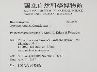 登錄號:F0031624藏品圖，第2張