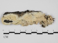 登錄號:F0031624藏品圖，第1張