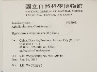 剛毛絲皮菌藏品圖，第2張