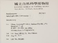 登錄號:F0031632藏品圖，第2張