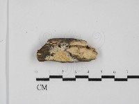 登錄號:F0031633藏品圖，第1張