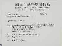 登錄號:F0031634藏品圖，第2張