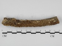 登錄號:F0031635藏品圖，第1張