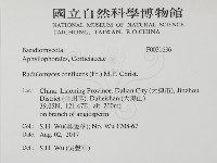 登錄號:F0031636藏品圖，第2張