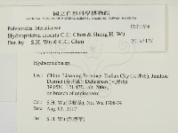 登錄號:F0031638藏品圖，第2張