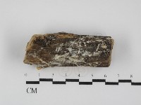 登錄號:F0031638藏品圖，第1張