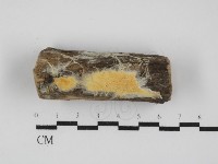 登錄號:F0031638藏品圖，第3張