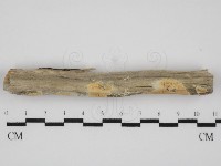 登錄號:F0031639藏品圖，第1張