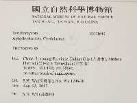 登錄號:F0031640藏品圖，第2張