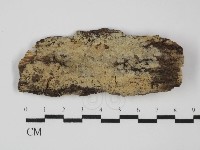 登錄號:F0031640藏品圖，第1張