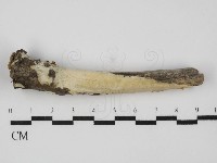登錄號:F0031641藏品圖，第1張