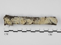 登錄號:F0031642藏品圖，第1張
