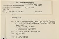 登錄號:F0031642藏品圖，第3張