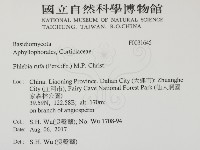 登錄號:F0031645藏品圖，第2張