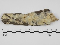 登錄號:F0031646藏品圖，第1張