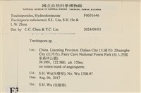 登錄號:F0031646藏品圖，第3張