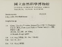 容氏菌屬藏品圖，第2張