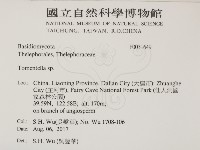 登錄號:F0031649藏品圖，第2張