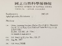 登錄號:F0031650藏品圖，第2張