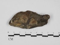 登錄號:F0031650藏品圖，第1張