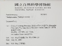 登錄號:F0031651藏品圖，第2張