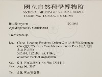 登錄號:F0031652藏品圖，第2張