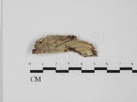 登錄號:F0031652藏品圖，第1張