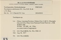 登錄號:F0031652藏品圖，第3張