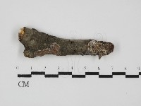 登錄號:F0031653藏品圖，第1張