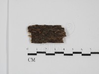 登錄號:F0031654藏品圖，第1張