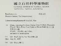 登錄號:F0031655藏品圖，第2張