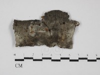 登錄號:F0031655藏品圖，第1張