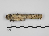 登錄號:F0031656藏品圖，第1張