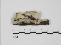 登錄號:F0031658藏品圖，第1張