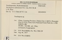 登錄號:F0031658藏品圖，第3張