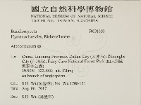 登錄號:F0031660藏品圖，第2張