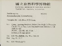 登錄號:F0031661藏品圖，第2張