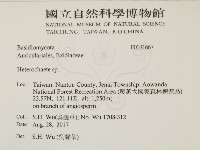 刺皮菌屬藏品圖，第2張