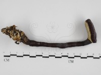 登錄號:F0031669藏品圖，第1張