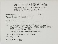 登錄號:F0031673藏品圖，第2張