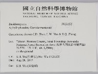 登錄號:F0031675藏品圖，第2張