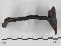 登錄號:F0031675藏品圖，第1張
