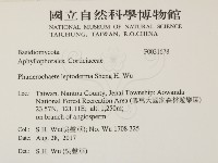 登錄號:F0031678藏品圖，第2張