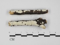 登錄號:F0031678藏品圖，第1張